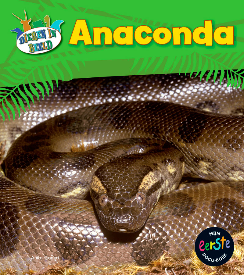 CNBMED025 Anaconda