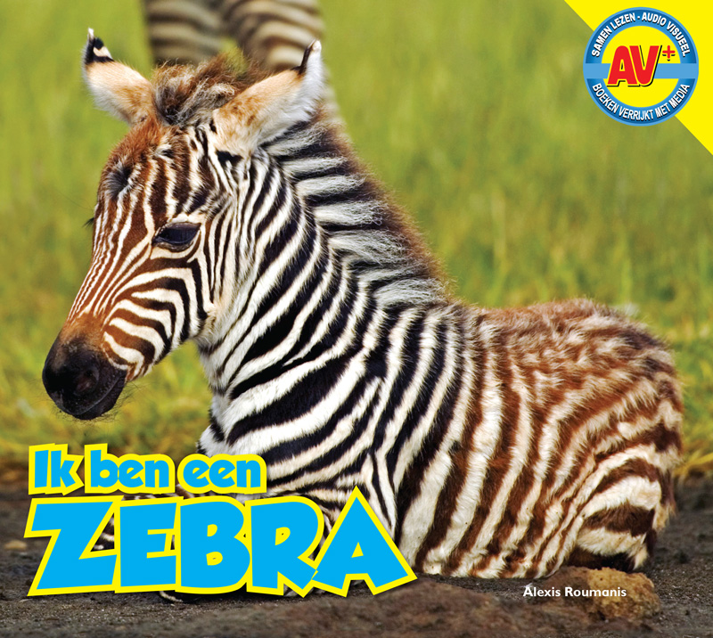CNBAVP017 Zebra